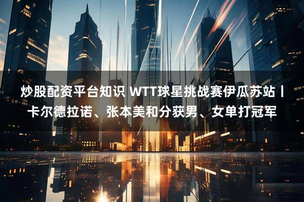 炒股配资平台知识 WTT球星挑战赛伊瓜苏站丨卡尔德拉诺、张本美和分获男、女单打冠军