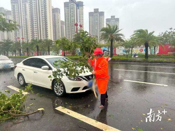 配资吧官网 接台风“麦德姆”报案1143件，广东保险业加速理赔助力救灾复产